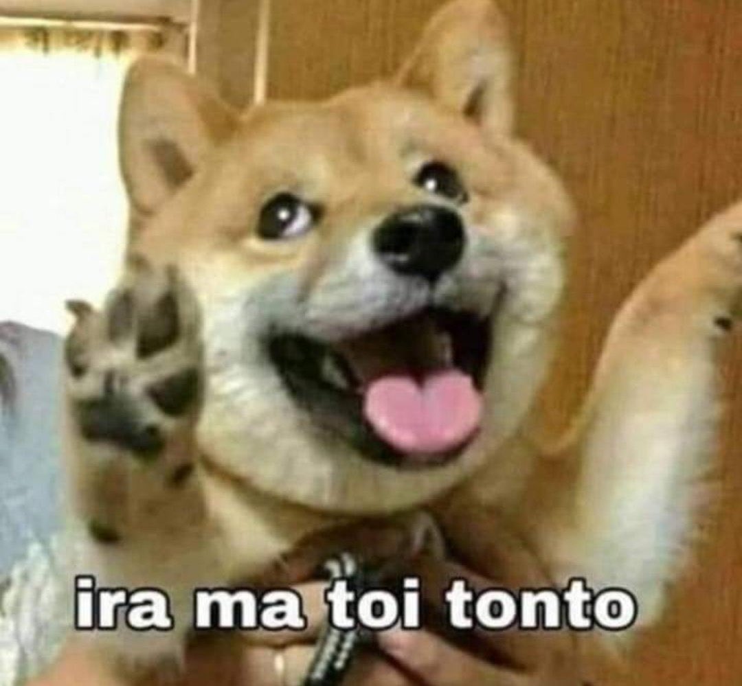 Pobre de usted, tan jødida y desesperada 😂