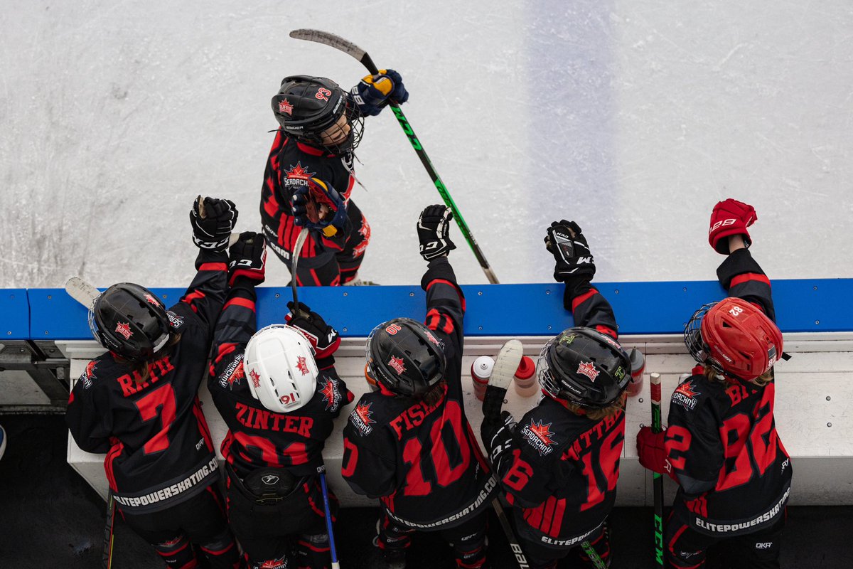 Super Talented team from <a href="/serdachnyhockey/">Serdachny Hockey</a>  and <a href="/AAATeamAlberta/">Team Alberta Hockey</a> 2015s!!