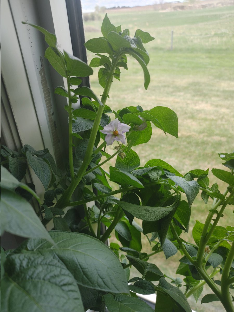 Angie Angle tweet media