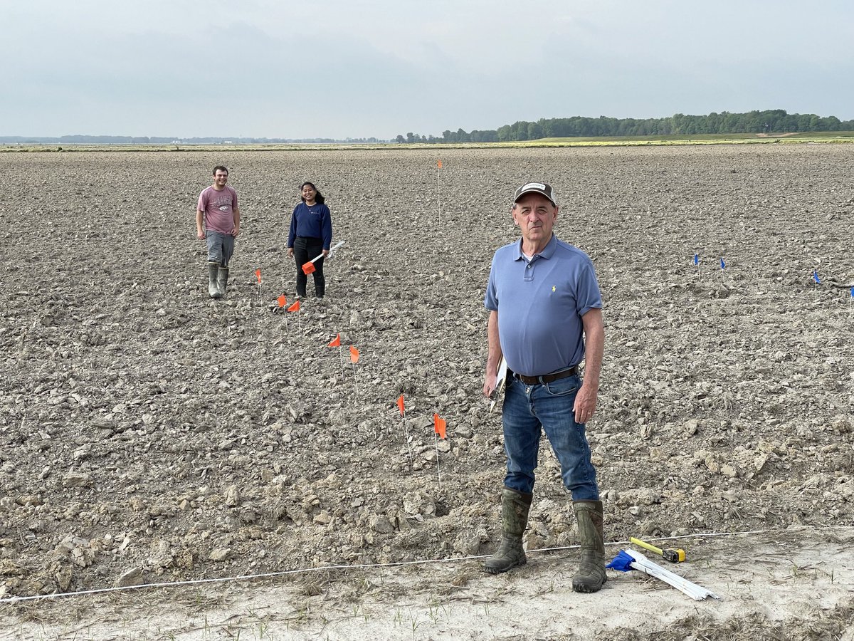NEArkRice's tweet image. Dr. Ed Brown, Jimmy DuVall, and Fnu Pausuidaule marking plots for a soybean study at the NERREC. Dr. Brown is a Plant Science faculty member in the College of Agri. at ASU that holds a joint research appointment with the UofA Div. of Agri. ⁦@AginArk⁩