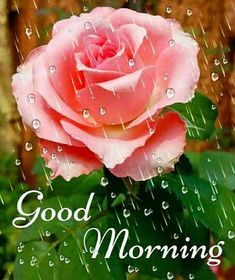 masuk_76's tweet photo. @aktar_onamika https://t.co/afiIrYBmBs
