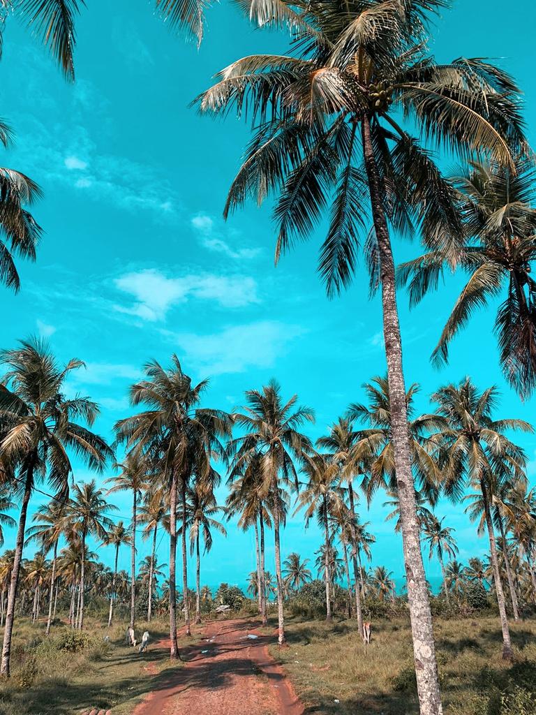 Tempat ternyaman untuk merenung