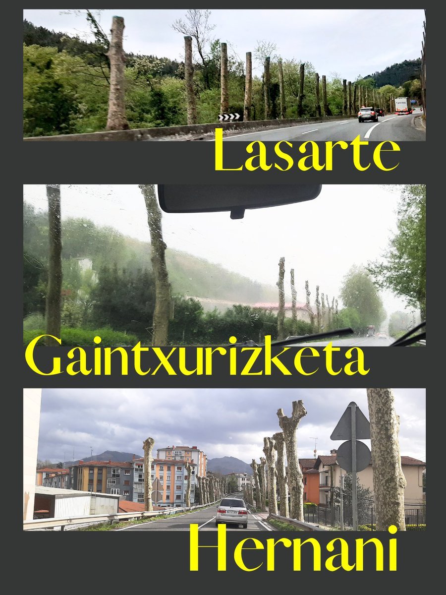 artiakolagunak's tweet photo. "#Gipuzkoa #Berdea orain eta beti" lelopean @Gipuzkoa|k bere #Kanpaina hedatzen duen bitartean, #Gipuzkoa|ko errepideen ertzean #Zuhaitzak #Moztu eta basatiki kimatu ditu, #Lurralde osoko #Udalerri|etan hondatutako astigar txuri lerro luzez osatutako #Paisaia mingarri hau utziz😢 https://t.co/Nj9NdmNLX4