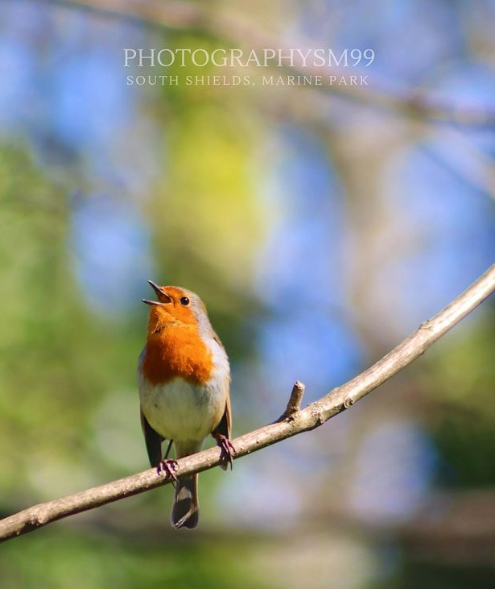 InSeasonComp's tweet photo. A great entry from @photographysm99 on our Insta
For the chance to win £150, take a photograph within South Tyneside that showcases Spring. Upload onto Instagram or Twitter using the hash tag #inseasonspring and tag us @inseasoncomp https://t.co/qWm1PLxpCJ