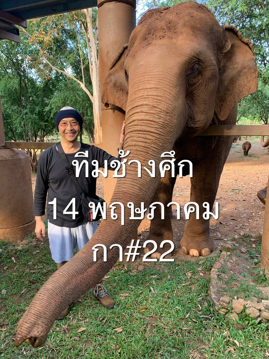แอ คำรณ ปราโมช ณ อยุธยา tweet media