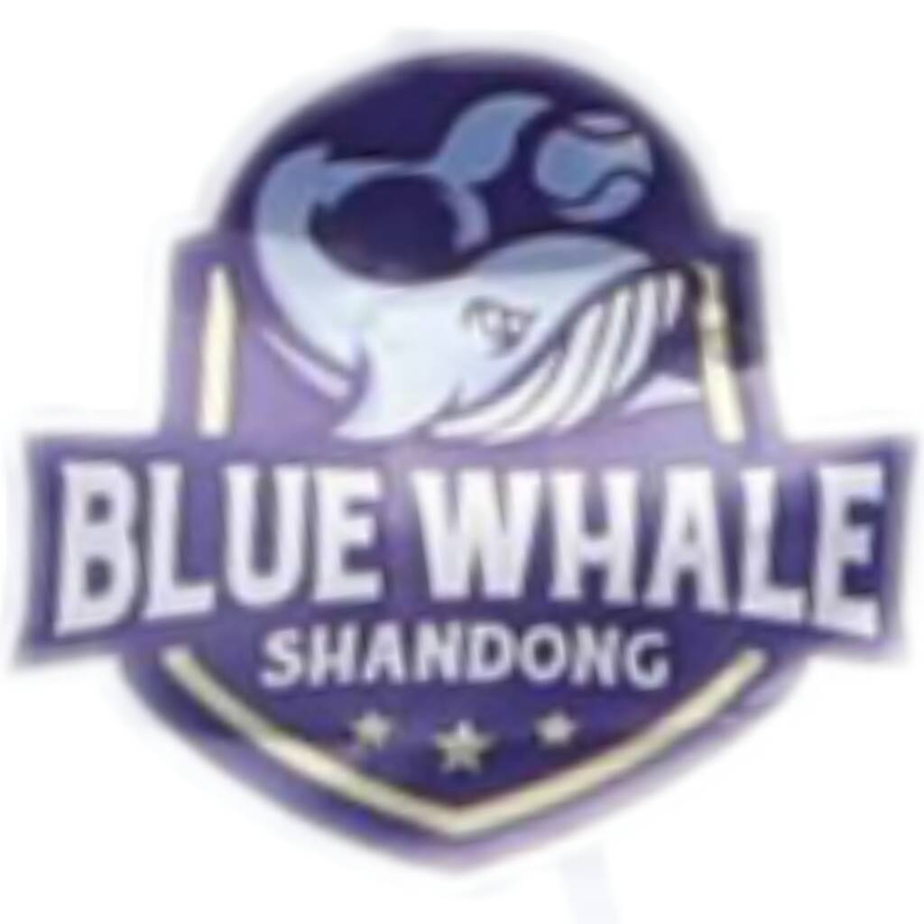 山东蓝鲸（SHANDONG BLUE WHALE） ​按理说，英文队名应该用复数WHALES才对！