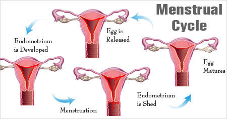 SAUTIplusTV's tweet photo. It's time to change the narrative around periods. Menstruation isn't a dirty secret, it's a powerful reminder of our reproductive health and strength. Let's embrace the power of periods! #PeriodPositivity
#SautiplusGotcha https://t.co/ZE99EV1nuk