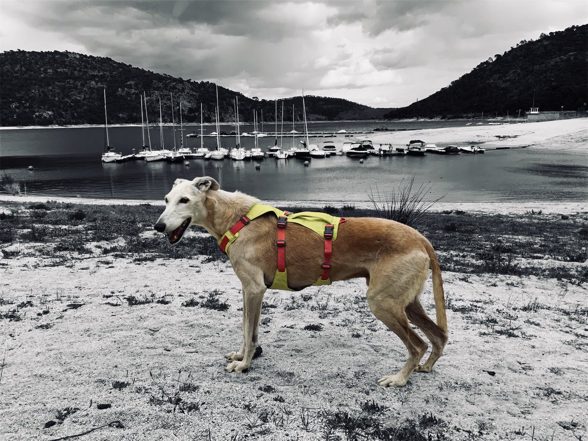 Hay seres que te alargan y te alegran la vida 😍