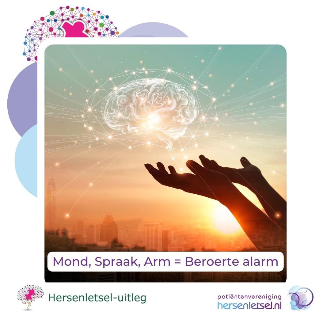 NAH_uitleg's tweet photo. Vandaag Europese Dag van de Beroerte
Herken snel een beroerte!
De 3 meest voorkomende signalen:
>    Een scheve mond
>    Verwarde spraak
>    Een lamme arm
 Ezelsbruggetje: Mond, Spraak, Arm = Beroerte alarm
Ook bij een enkel symptoom bel 112!
Meer info: https://t.co/40PlUo2tqI https://t.co/weMHVmML1V
