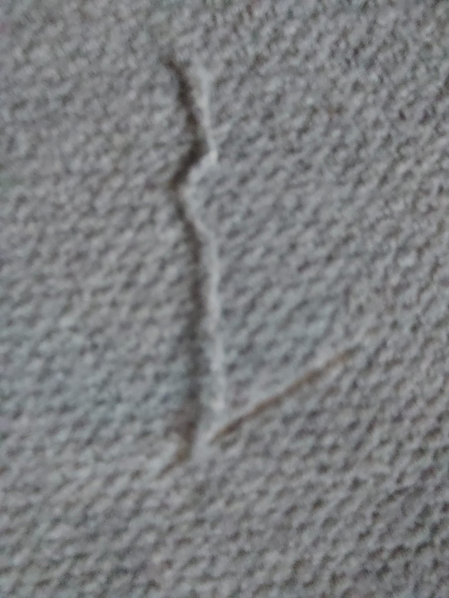 NickSusan tweet media