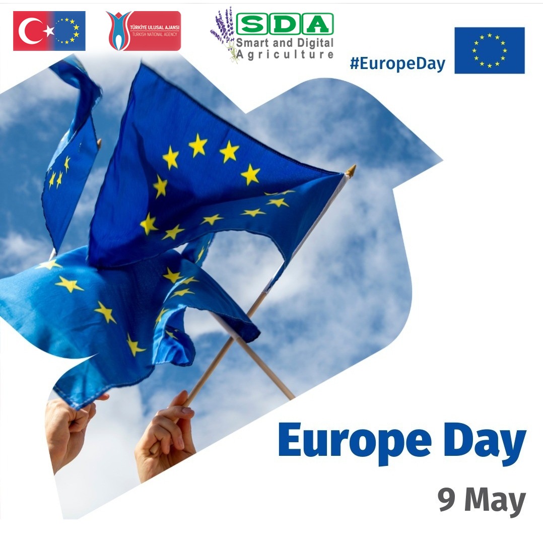 sdaprojecteu tweet media