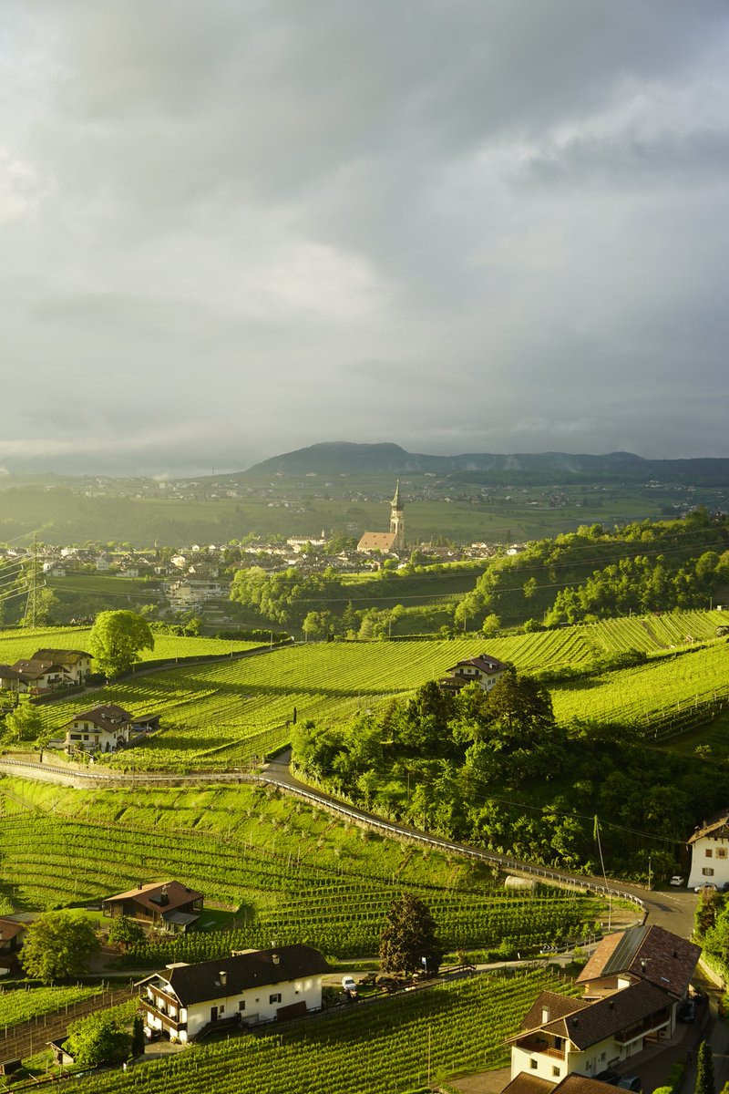 Kicking off #IWOMI2023 live from Bolzano, Italy!
iwomi.net
@csteinbeck