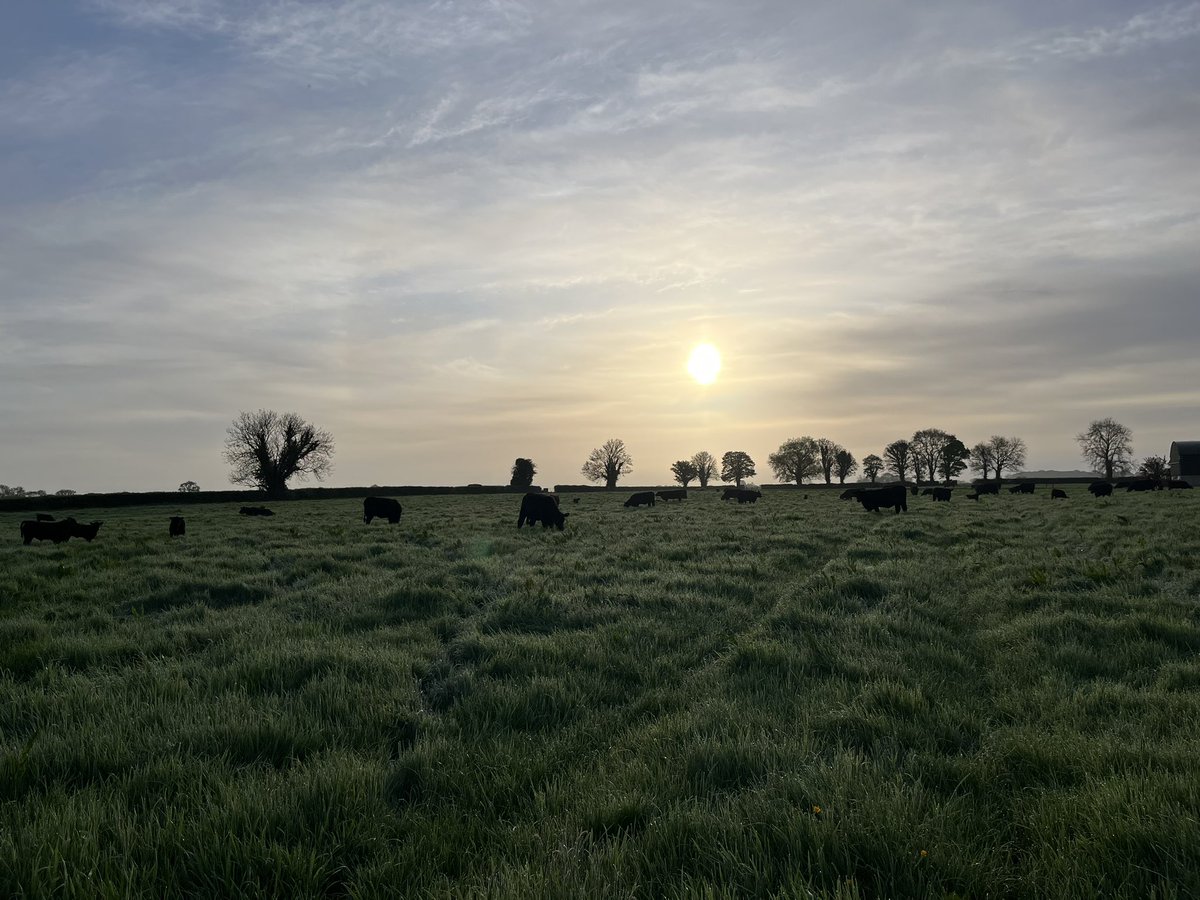 What an amazing sunrise this morning in Limerick