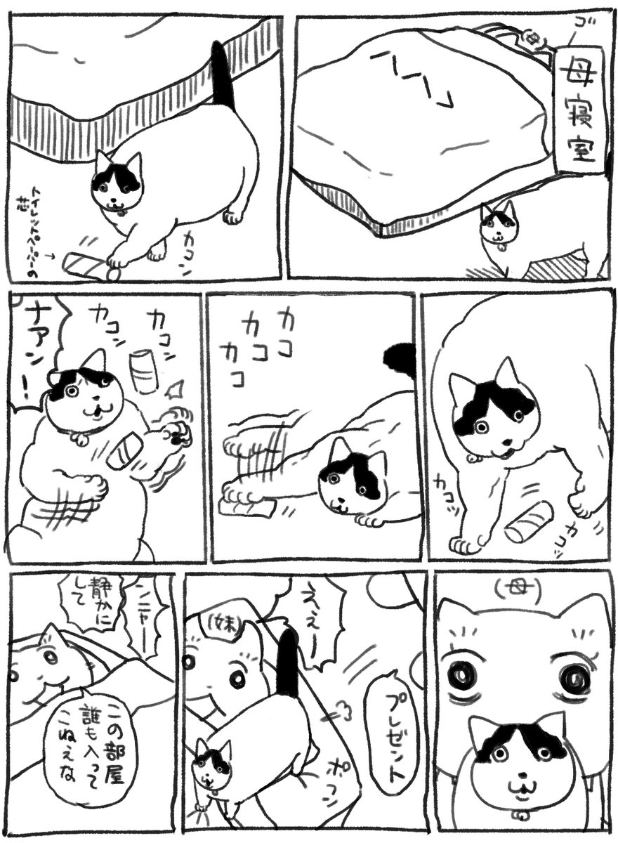 安眠妨害猫