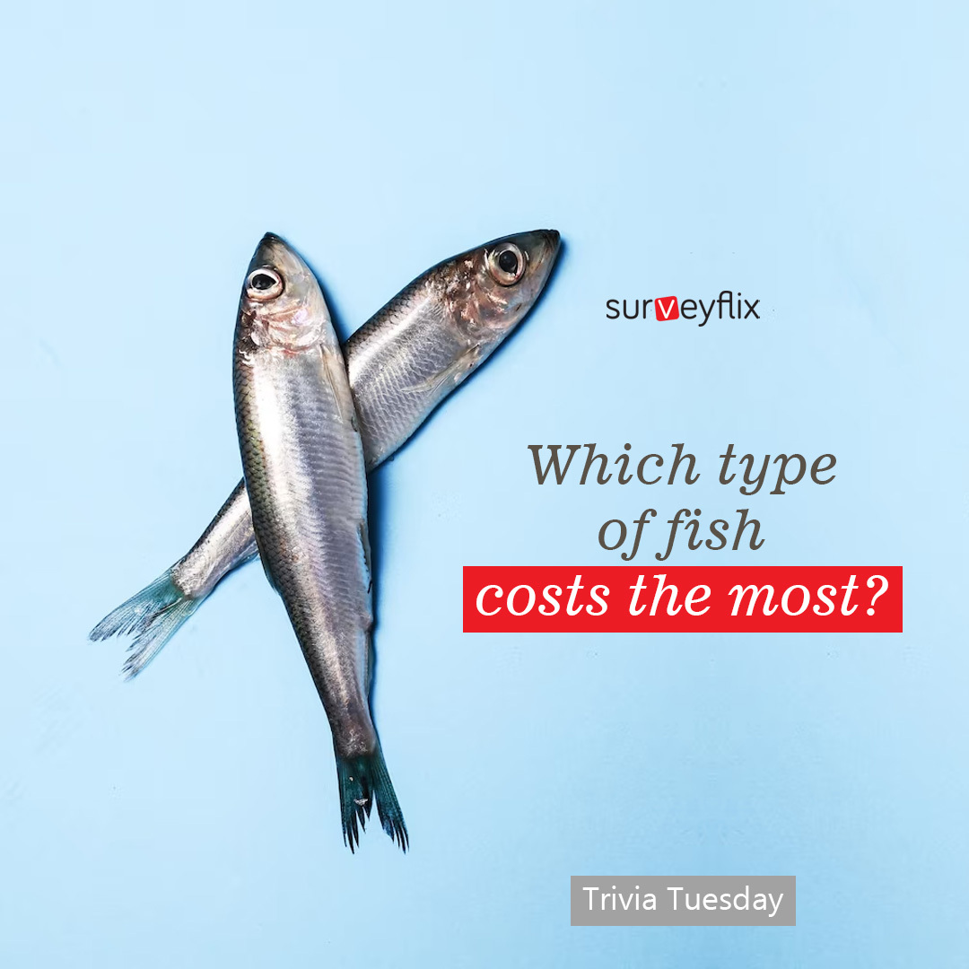 Surveyflix's tweet photo. It's Trivia Tuesday!
We'll select randomly the person who gets the trivia correctly and award points.🥳🤩😎
#surveyflix #trivia #trivia #TriviaTime #trivianight #triviatuesday #triviachallenge #TriviaRevolution https://t.co/3U8OGIGhPe