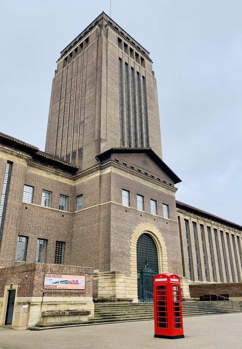 Kristine Rose-Beers tweet media