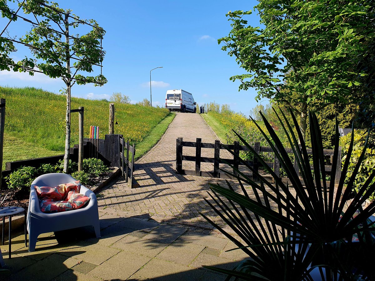 Net op tijd...! Na overleg met het waterschap gaan ze akkoord met mijn maaibeleid. Ze slaan in het voorjaar het maaien hier binnendijks over, waardoor de bloemen blijven staan. 🐝 🌻