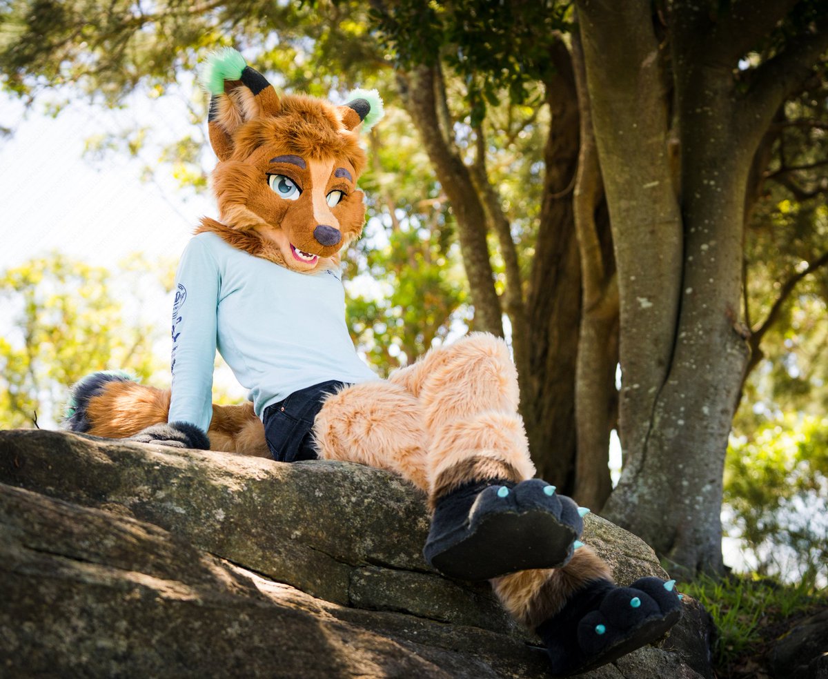 I'm goin to FurDu! Always happy to meet new people, take some photos & give out some fluffy hugs! 📸: @shoobphotos