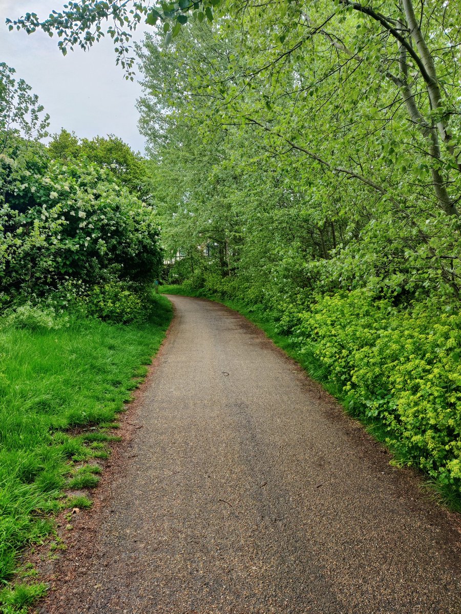 Andy Bush tweet media