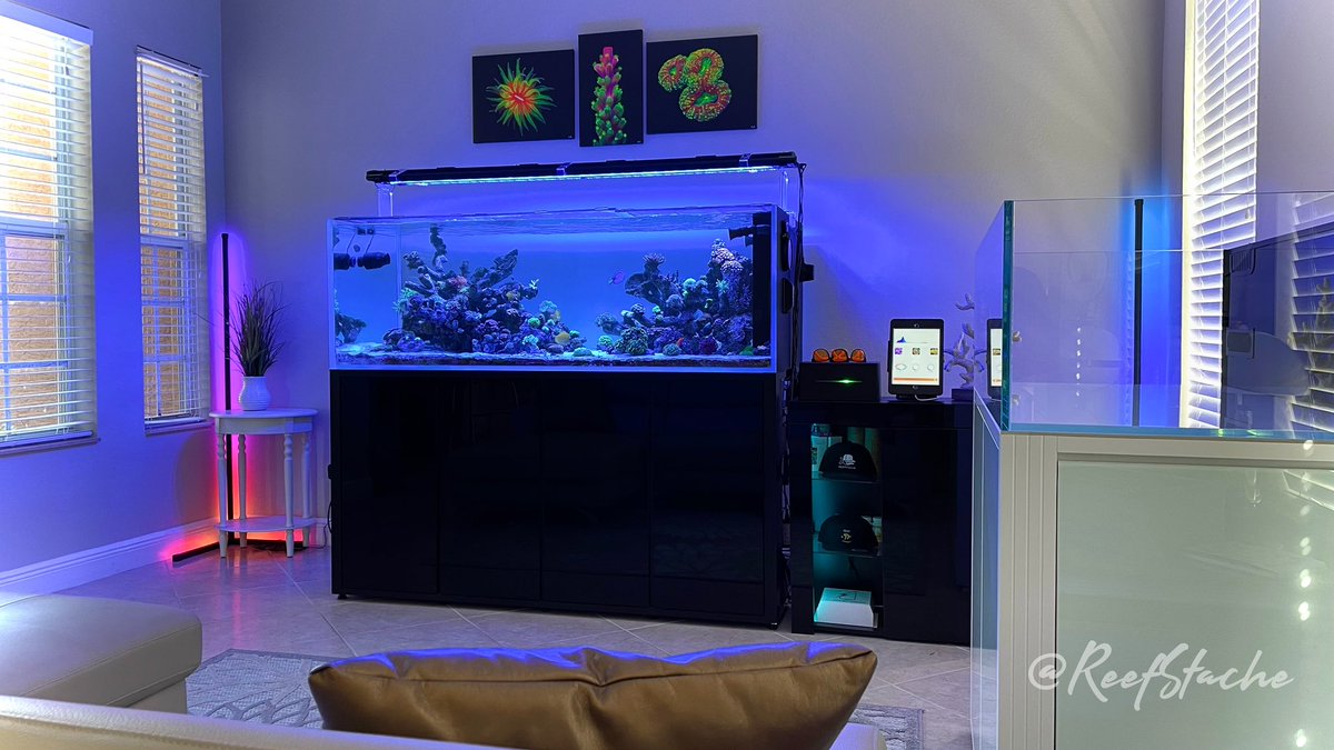 ReefStash's tweet photo. 🐠 Happy reefing everyone. 👊🤙😎 Have a question about my reef tank or need some help? Drop me a comment… 

Join my reef tank group “Reef Tank Life” https://t.co/3z9TPHRJxO 🤗 

#reefstache #reeftanklife #reeftanks #saltwateraquariums #fishtank #aquarium https://t.co/8SlwVI7l3s