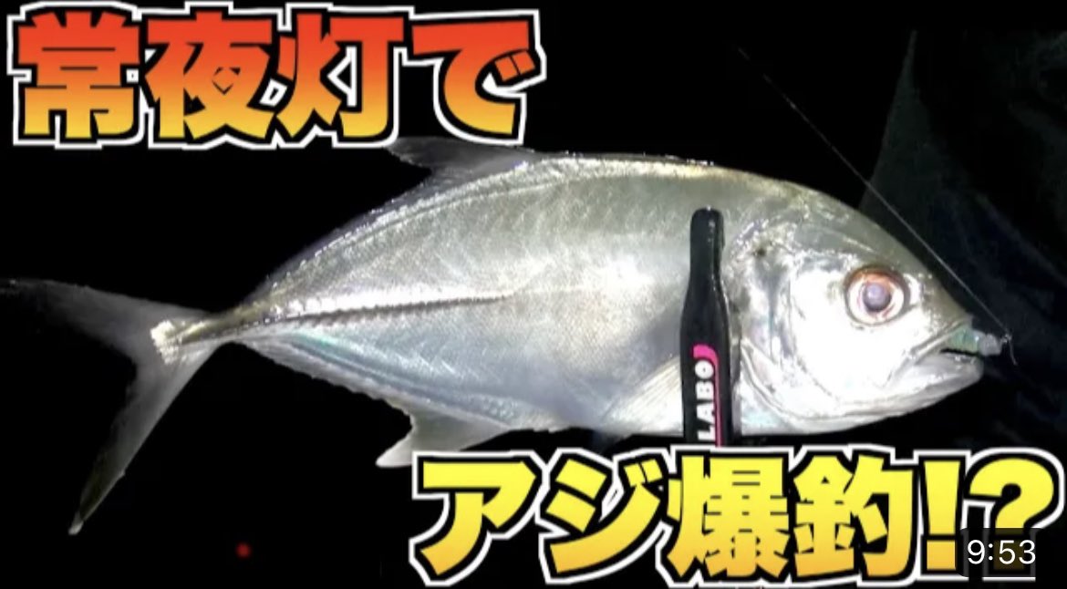 FISHLABO_STAFF's tweet photo. YouTube投稿しました🔥
アジング❗️
爆釣⁉️
嬉しい外道⁉️
こちらからチェック👇
https://t.co/5OTuHa4m4K
#FISHLABO
#フィッシュラボ
#釣り好きな人と繋がりたい
#釣り
#アジング
#メバリング
#Riverch
#リヴァーチ https://t.co/CkijEOA9vn