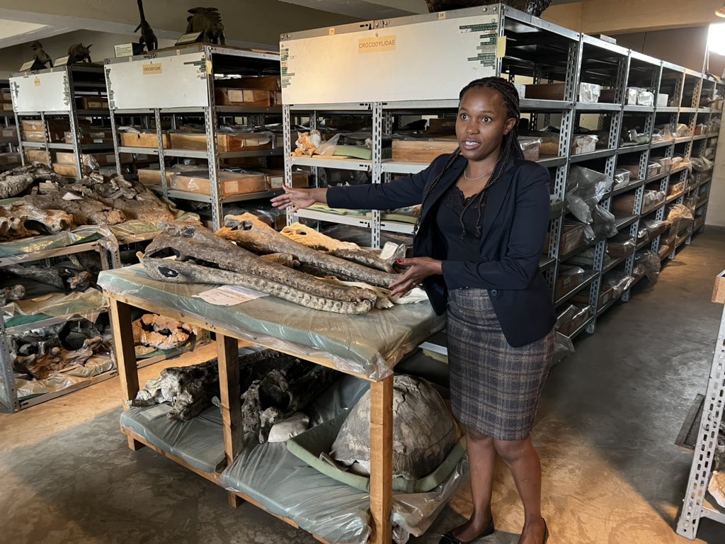 Kendra Sirak tweet media