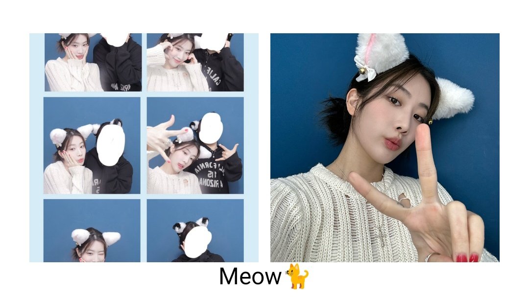 meepjins's tweet photo. "meow" I KNOW THAT'S RIGHT https://t.co/eht8UAAFel