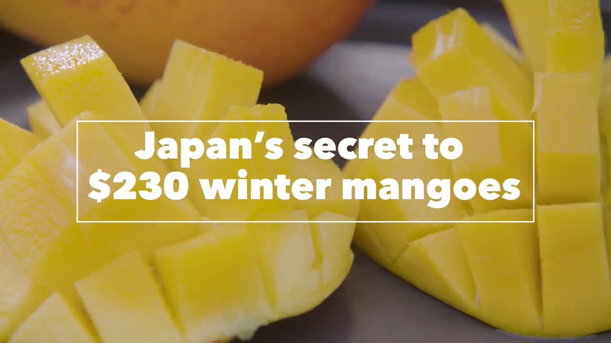 Kurumi Mori on Twitter "RT business 🥭 Japan’s secret to 230 winter