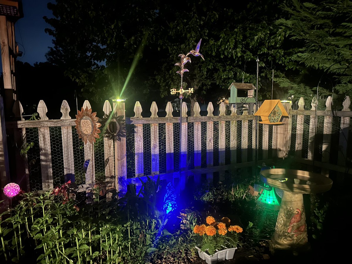 Ooops stayed in the garden 🪴 👩🏻‍🌾 until after 10pm with my spotlight. I hope I don’t pay for it tomorrow in class 🤣🍎
Had to beat out the rain again tomorrow 🌧️🌱

#GardeningTwitter #raisedbed #plants #gardentherapy #gardenlife #greenthumb #gardenchat #garden