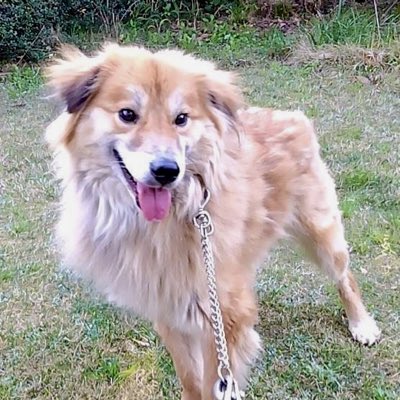 CK1vbYEuT0hezRp's tweet photo. #新しいプロフィール画像 https://t.co/SBn3kzv7Yg