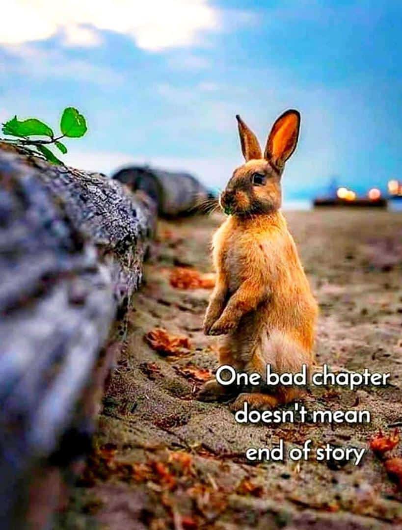 Evelynbat's tweet photo. https://t.co/BPizUT6LtZ