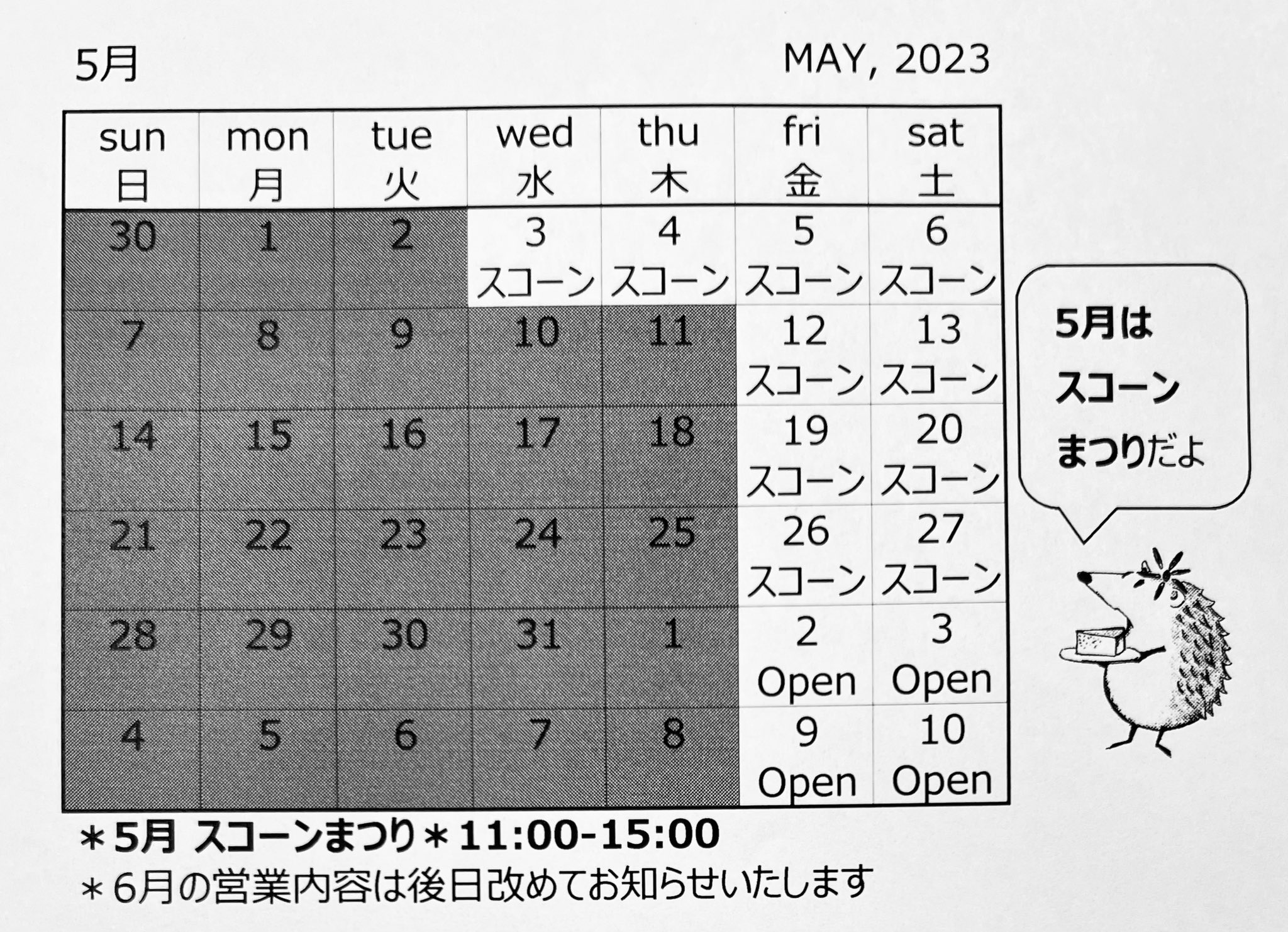 ✨デイジー様ご専用ページです✨ | beia.com.do