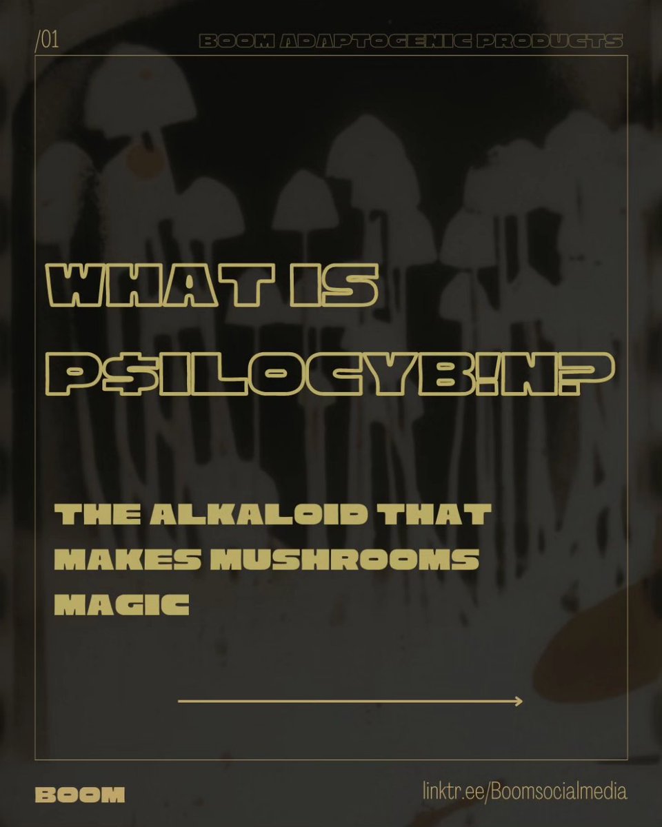 boompsilocybin's tweet photo. Our latest guide is up on our new IG 
@boommushroombars https://t.co/kjK2I8LUD0