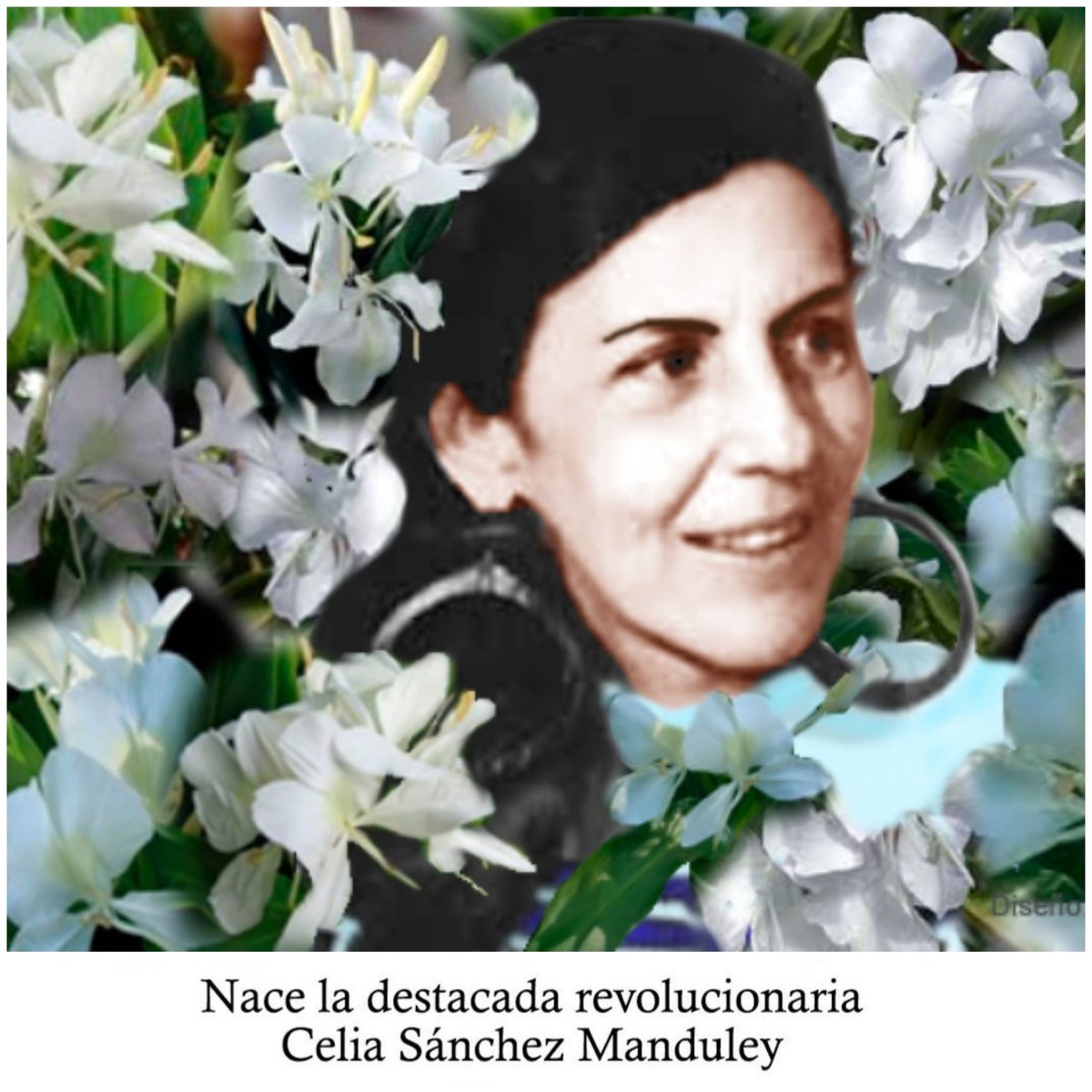 Celia, Norma, Aly, combatiente de la Sierra y el llano, guerrillera, heroína ... la flor autóctona de la Revolución. Al decir de #FidelPorSiempre “Si tenía realmente condiciones excepcionales, la gente la quería mucho”. #CubaViveEnSuHistoria