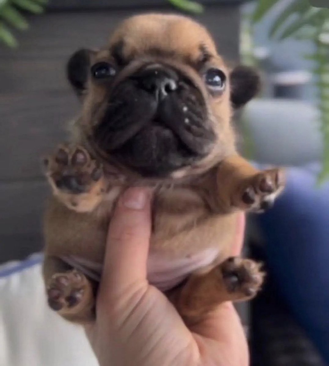 lego fan19362 (@black_vale2) on Twitter photo 