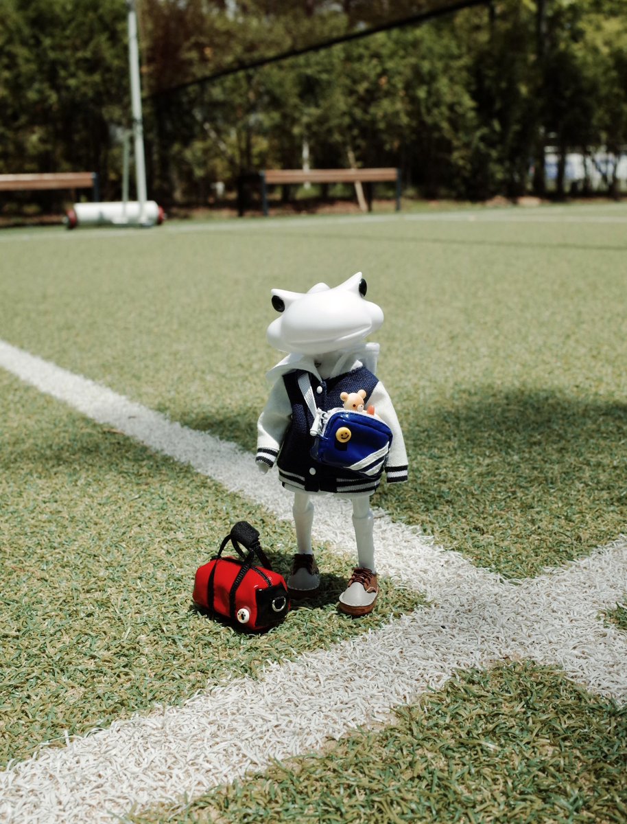 ワンダーフロッグ - Search / X