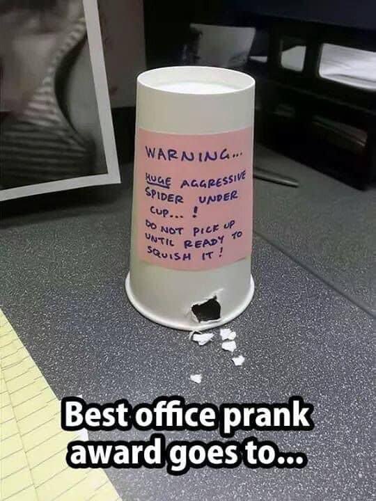 BuryEvidence's tweet photo. I would have a bloody heart attack 😱🕷
#BestPrank https://t.co/BgLD82FJfk