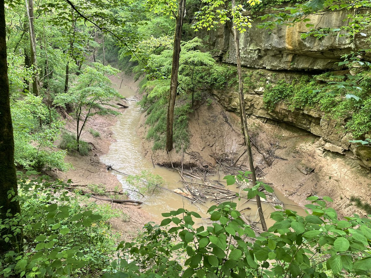 Karst Field Studies tweet media