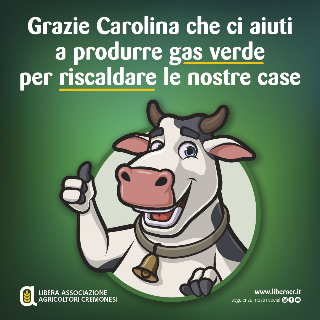 Libera Associazione Agricoltori Cremonesi tweet media