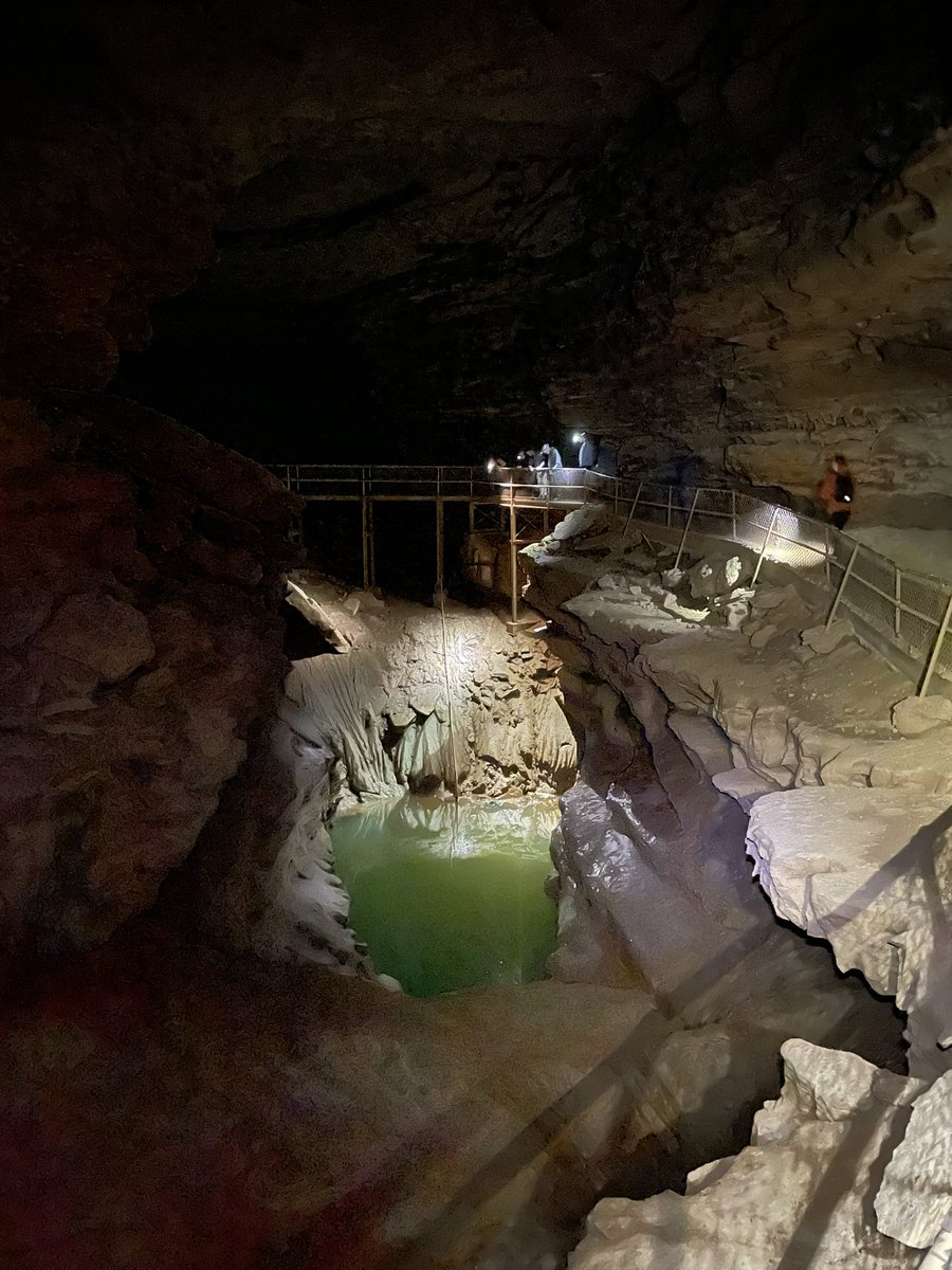 Karst Field Studies tweet media