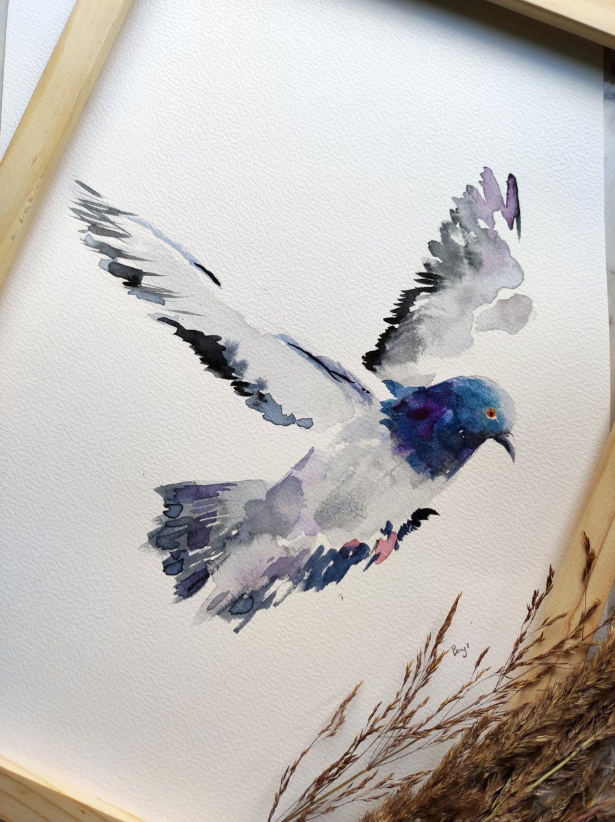 WiktoriaHandma1's tweet image. Dzień dobry / Good morning👋
#pigeon #happyday  #gołąb 

⬇️Gołąb ⬇️