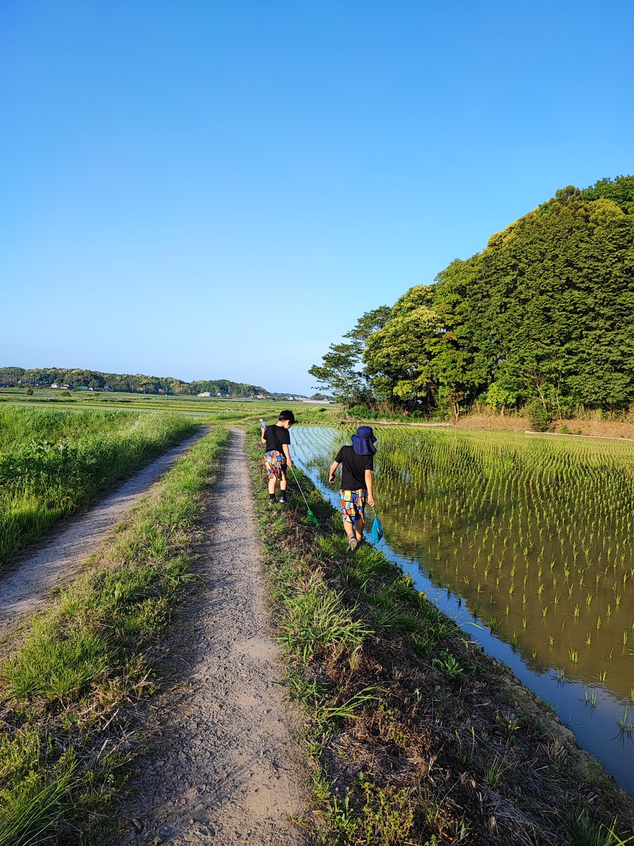 Madam_Fujiko's tweet photo. Rural-loving boys came again🥰✨

#INASHIKINEST 
#countryside #rural #Japan 
#farminn #guesthouse
#Kasumigaura #Ibaraki 
#paddyfields https://t.co/D5ScwaVDKk