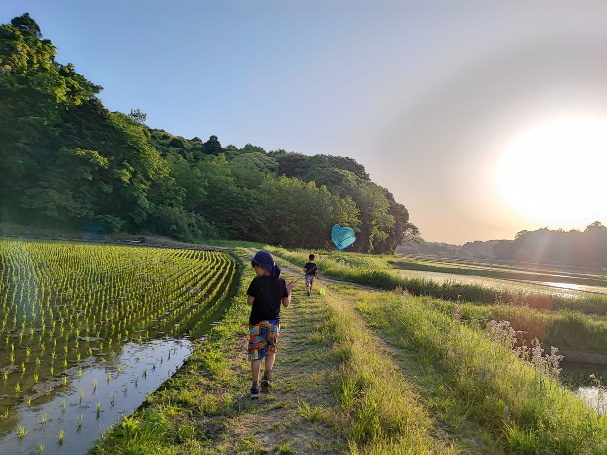 Madam_Fujiko's tweet photo. Rural-loving boys came again🥰✨

#INASHIKINEST 
#countryside #rural #Japan 
#farminn #guesthouse
#Kasumigaura #Ibaraki 
#paddyfields https://t.co/D5ScwaVDKk