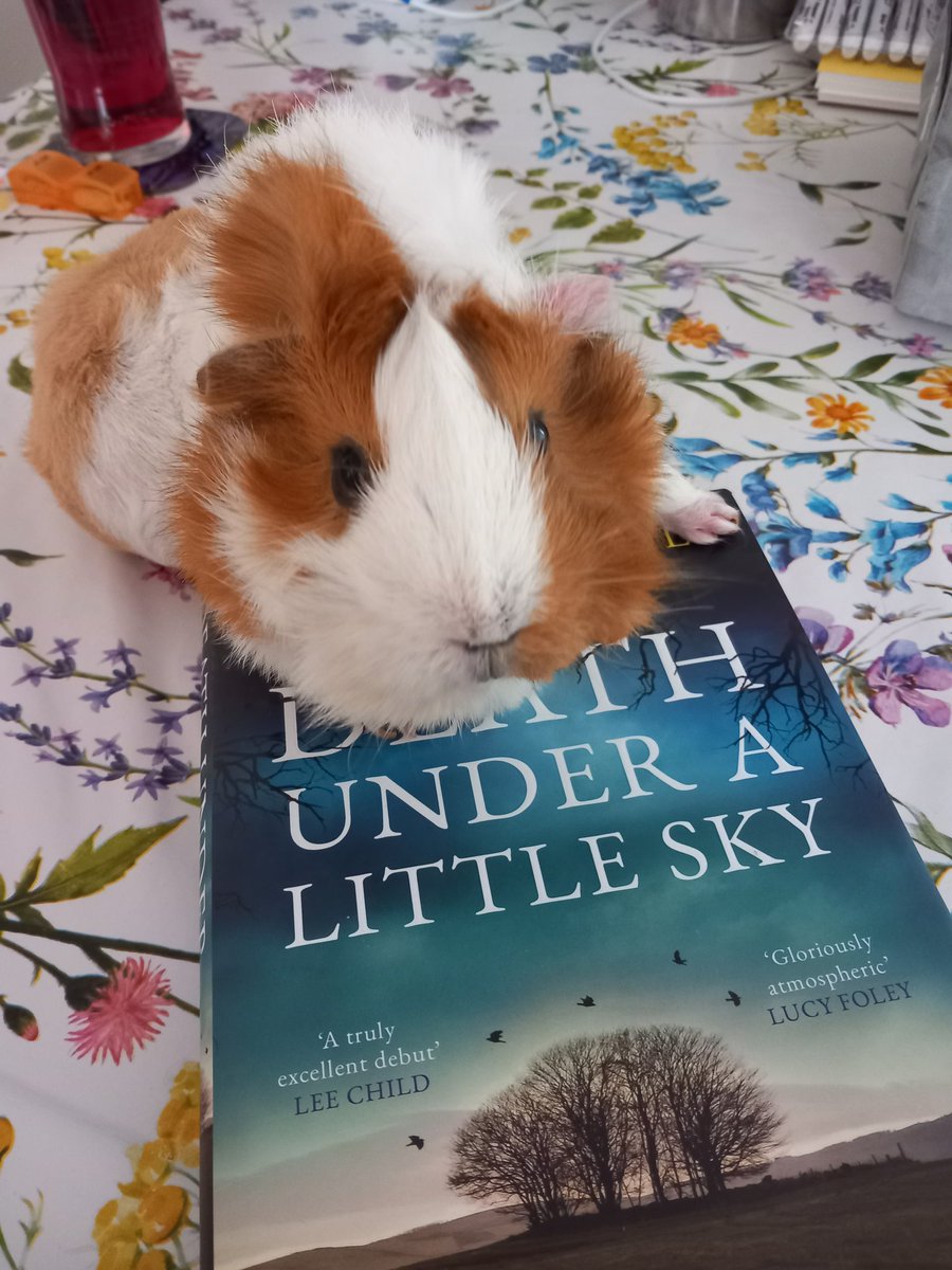 Bloody #insomnia been awake since 1am...😵‍💫... only good this is I'm steaming thru #DeathUnderALittleSky by @StigAbell a really unique crime fiction novel.