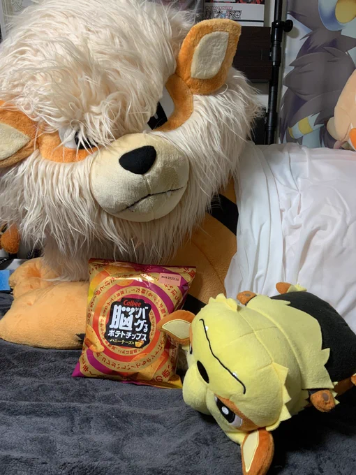 ウインディが脳がバグるポテトチップス奪うんやけど!