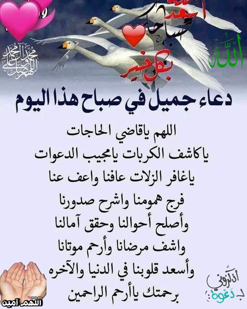 الشريف هشام السباعي الإدريسى tweet media