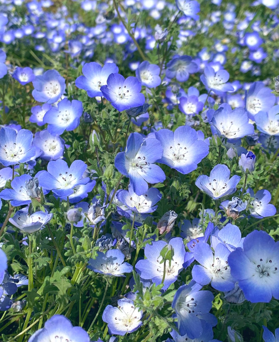 LibertasSystem's tweet photo. こんにちは☀️

暖かくなってきましたね。

休み中にやっておきたいことが
残ったまま、
いつの間にか、
ゴールデンウィークが終わってしまいました💦
時間がまだ有ると思うと
先延ばしにしてしまいますね😓

今週も宜しくお願い致します😄

#企業公式相互フォロー 
#企業公式つぶやき部 https://t.co/L7hrLlGCj4