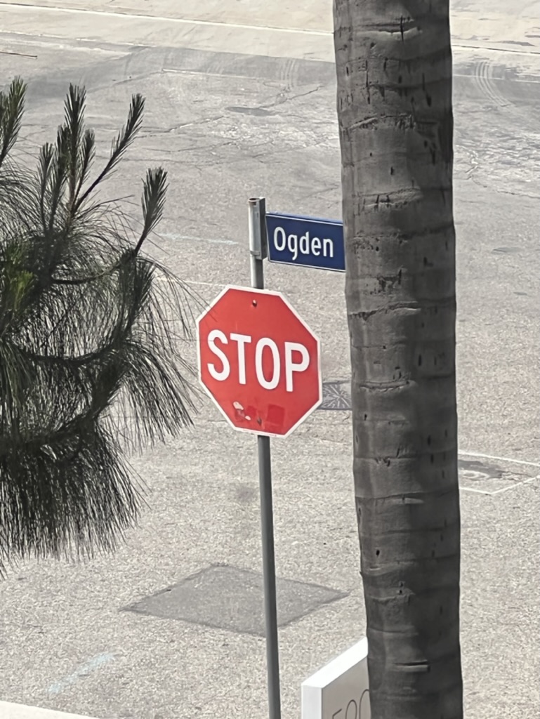 Ogden.eth tweet media