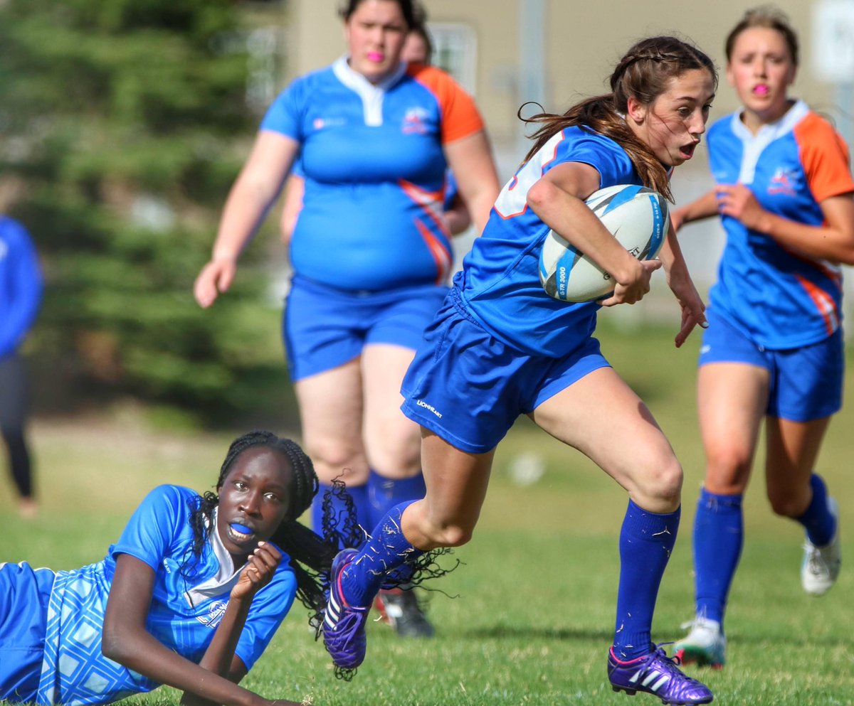 Jace Forsyth tweet media