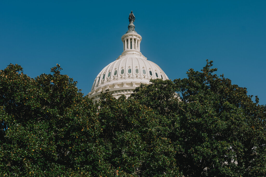 Inca Wassi tweet media